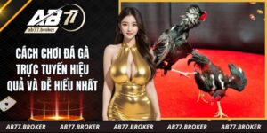 Cách Chơi Đá Gà Trực Tuyến