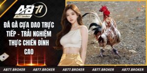 Tích lũy kinh nghiệm khi xem trận gà thực tế