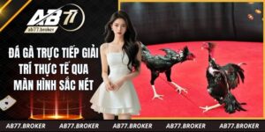 Đá Gà Trực Tiếp