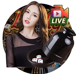 dc585a91d82231184daa5758b419171e