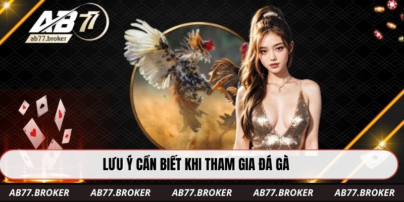 Lưu ý cần biết khi tham gia đá gà