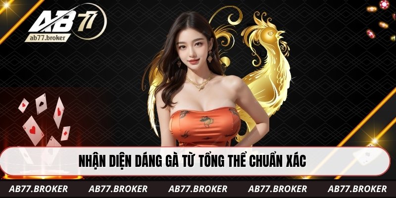 Nhận diện dáng gà từ tổng thể chuẩn xác