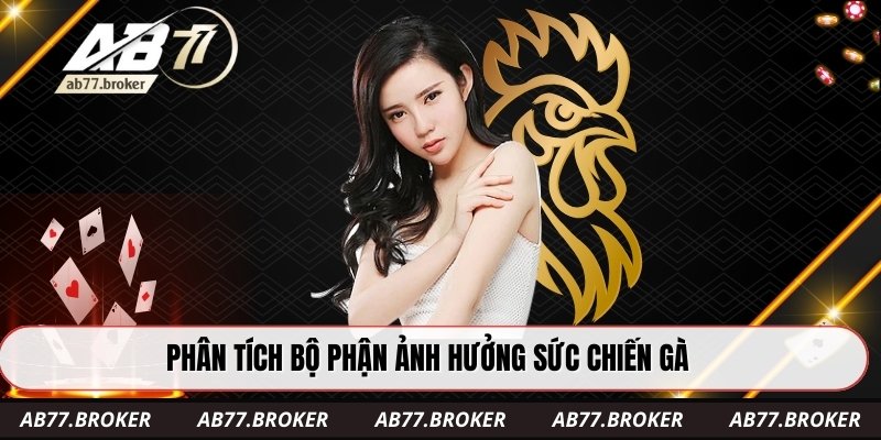Phân tích bộ phận ảnh hưởng sức chiến gà
