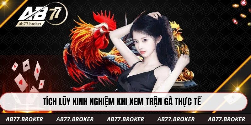 Tích lũy kinh nghiệm khi xem trận gà thực tế