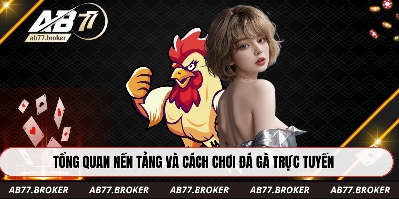 Tổng quan nền tảng và cách chơi đá gà trực tuyến