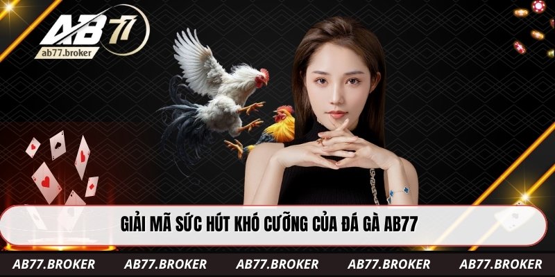 Giải mã sức hút khó cưỡng của đá gà ab77