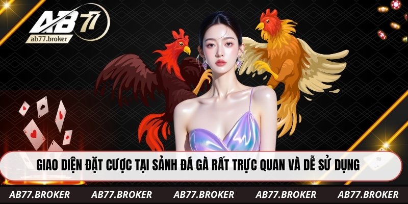 Giao diện đặt cược tại sảnh đá gà rất trực quan và dễ sử dụng
